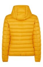 af139cf3-00dd-4738-b56a-a36d197c4268